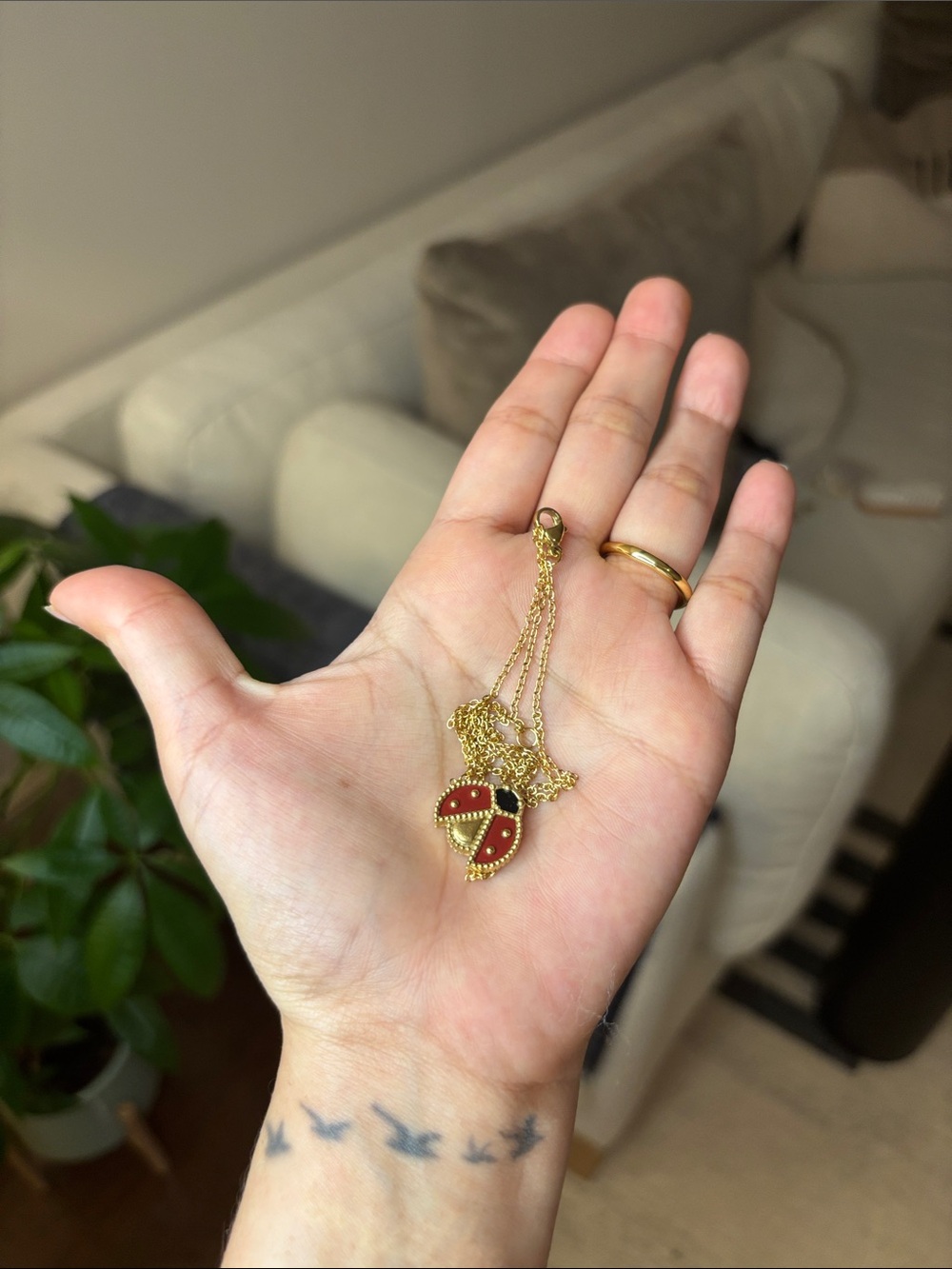 Gold-Plated Red Ladybug Necklace, Bracelet & Earring Set